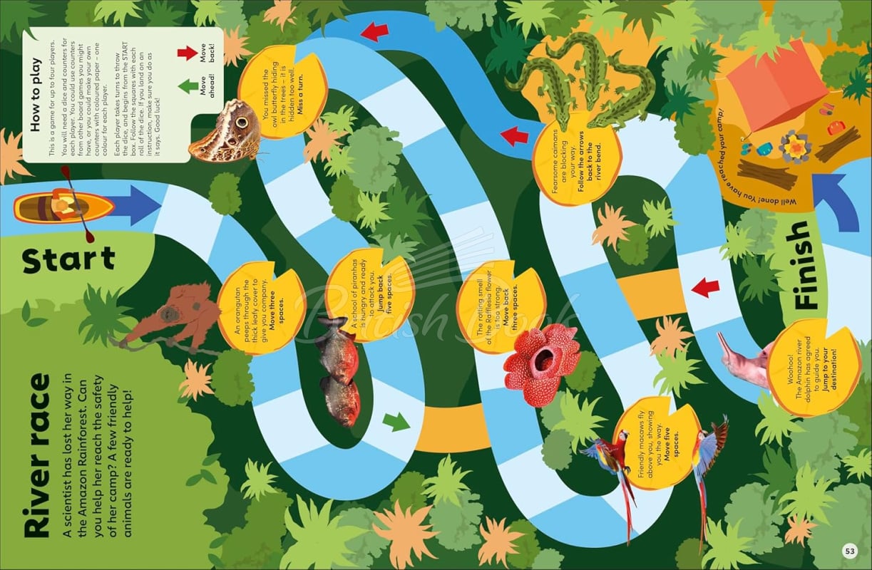 Книга Eyewonder: Rainforest зображення 8
