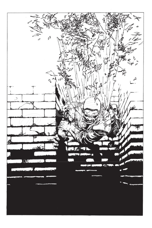 Книга Frank Miller's Sin City Volume 1: The Hard Goodbye зображення 2