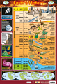 Earth's History Poster