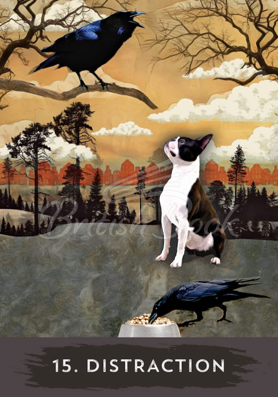 Карти таро Urban Crow Oracle зображення 9