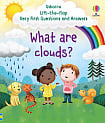 Lift-the-Flap Very First Questions and Answers: What are Clouds?
