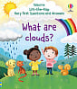Lift-the-Flap Very First Questions and Answers: What are Clouds?