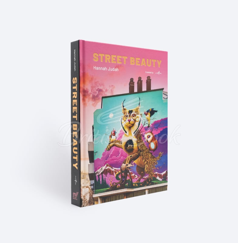 Книга Street Beauty зображення 1