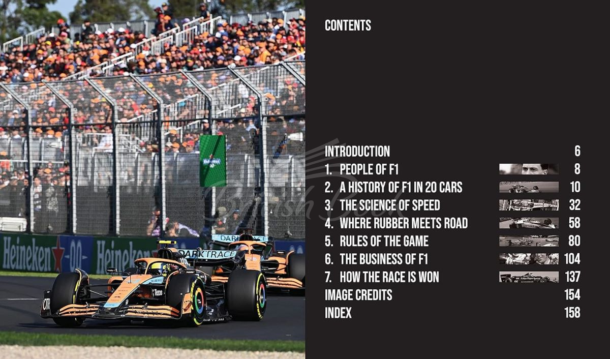 Книга Formula 1: Drive to Survive: Unofficial Companion зображення 1