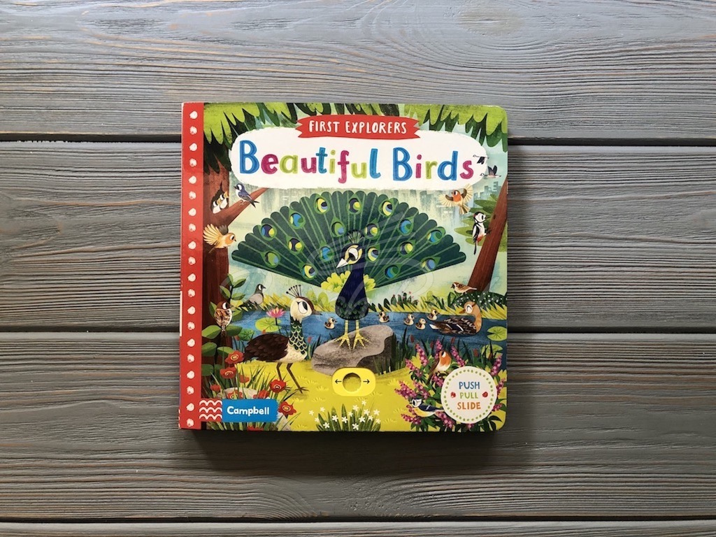 Книга First Explorers: Beautiful Birds зображення 1