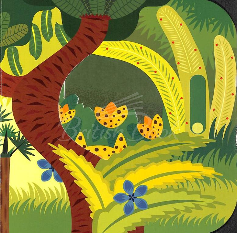 Книга Small Fingers Peek-a-Boo! Who's in the Jungle? зображення 1