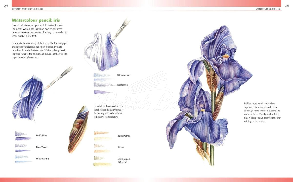 Книга Drawing and Painting Flowers: A Step-by-Step Guide to Creating Beautiful Floral Artworks изображение 1