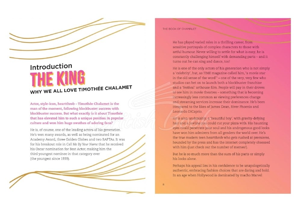 Книга The Book of Chalamet: A Chalamazing (Unofficial) Celebration изображение 3