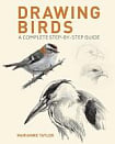 Drawing Birds: A Complete Step-by-Step Guide