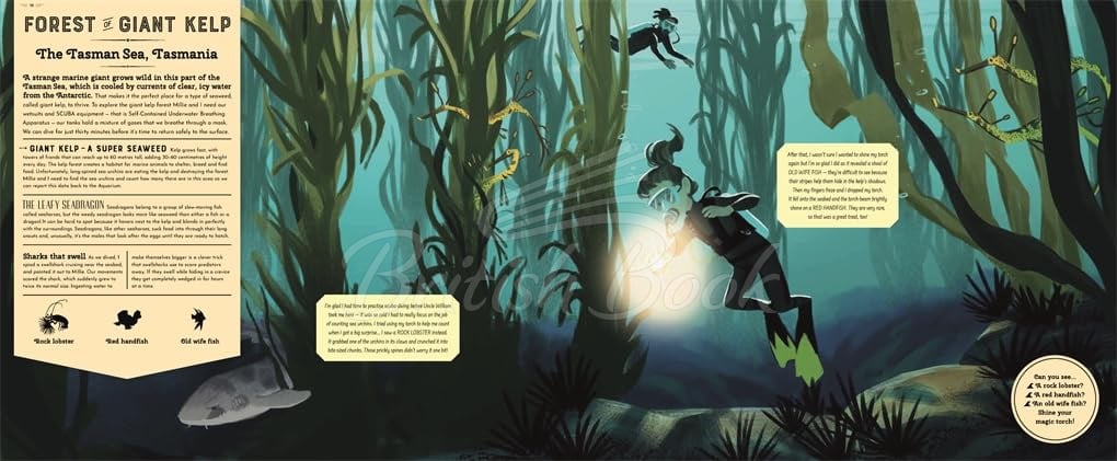 Книга Mysteries of the Ocean зображення 6