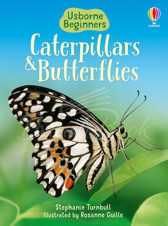 Книга Usborne Beginners Caterpillars and Butterflies зображення