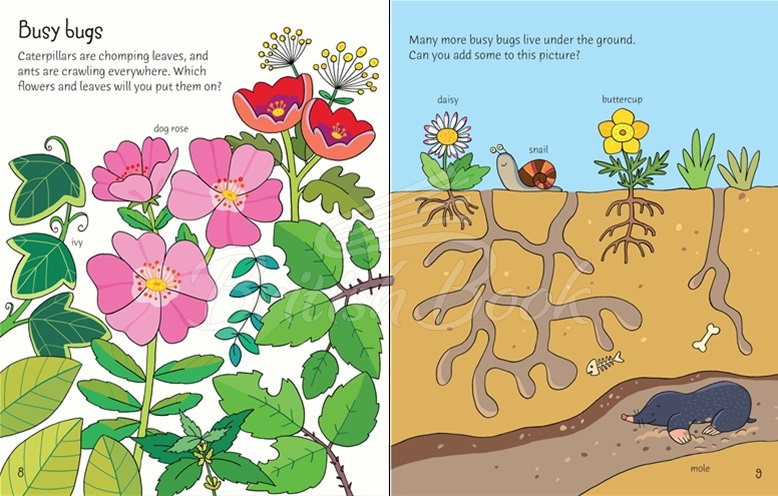 Книга First Sticker Book: Garden изображение 2