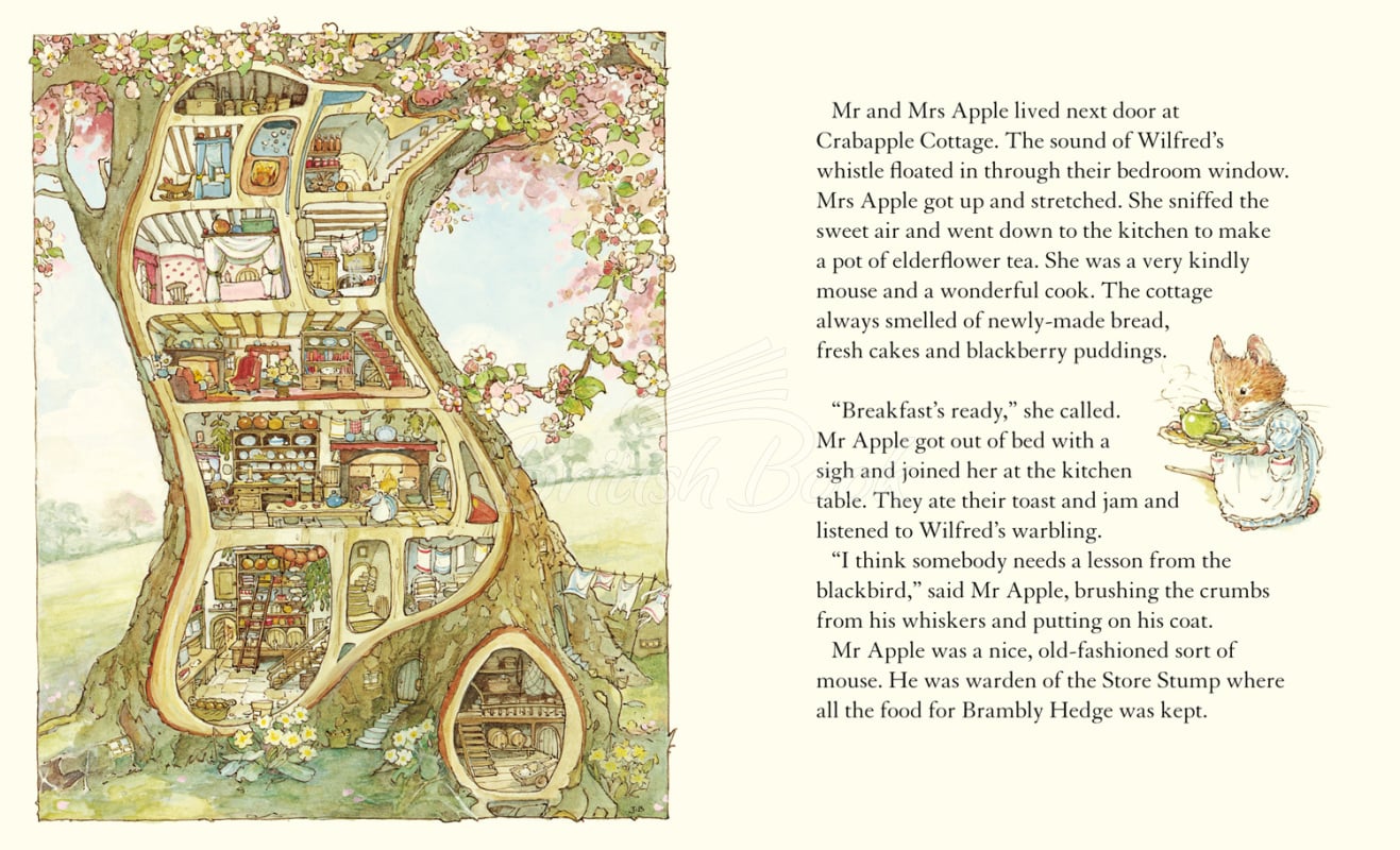 Книга Brambly Hedge: Spring Story зображення 1