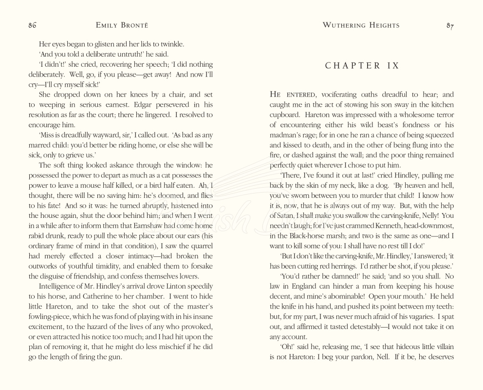 Книга Wuthering Heights зображення 2