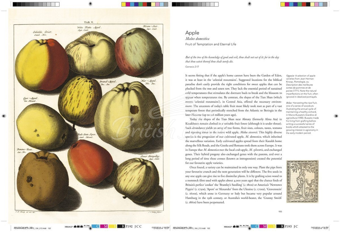 Книга Remarkable Plants изображение 10