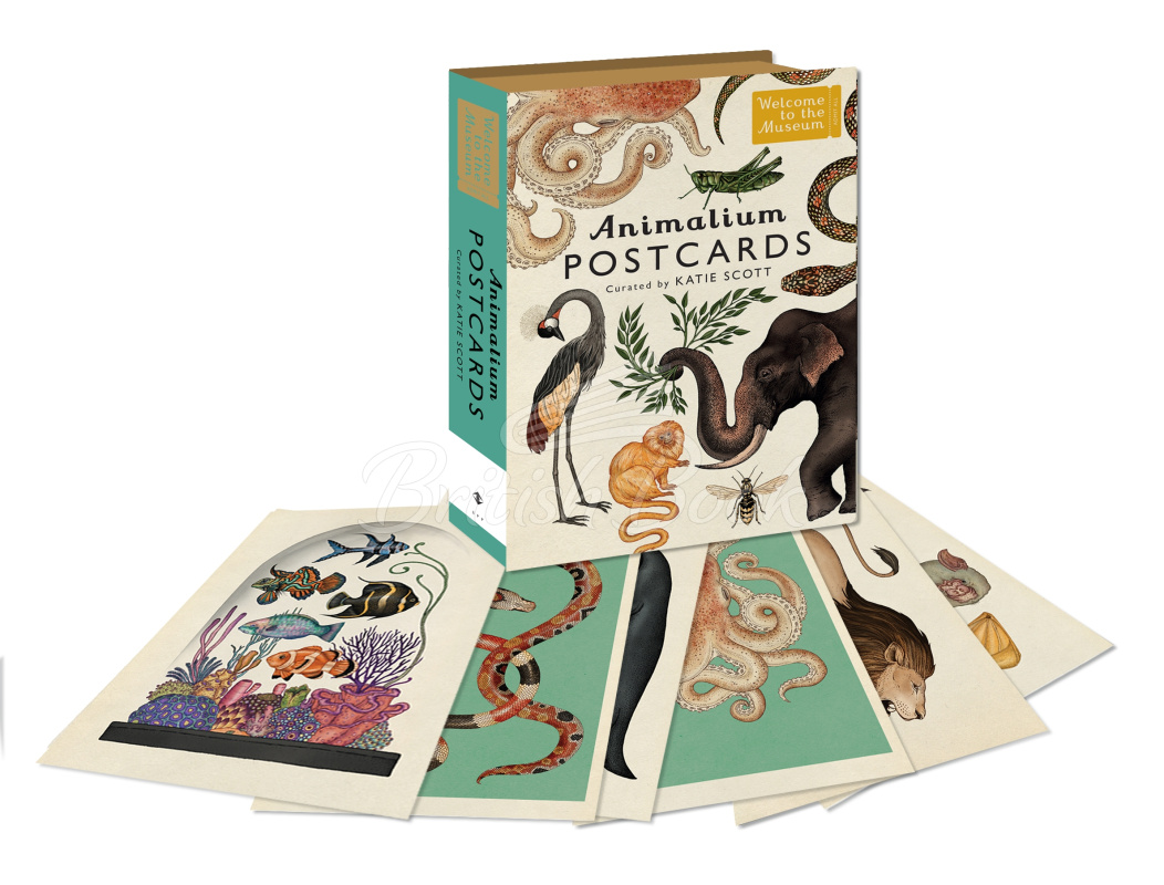 Набір Welcome to The Museum: Animalium Postcards зображення