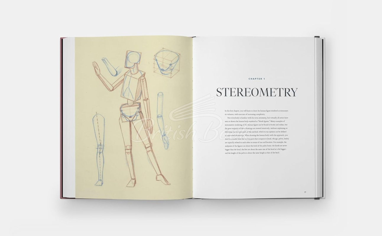 Книга Drawing the Body: Reading the Human Form in Art зображення 2