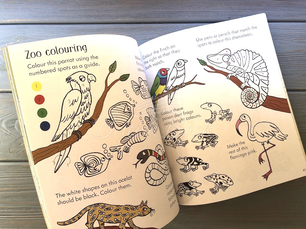 Книга Little Children's Zoo Activity Book зображення 3