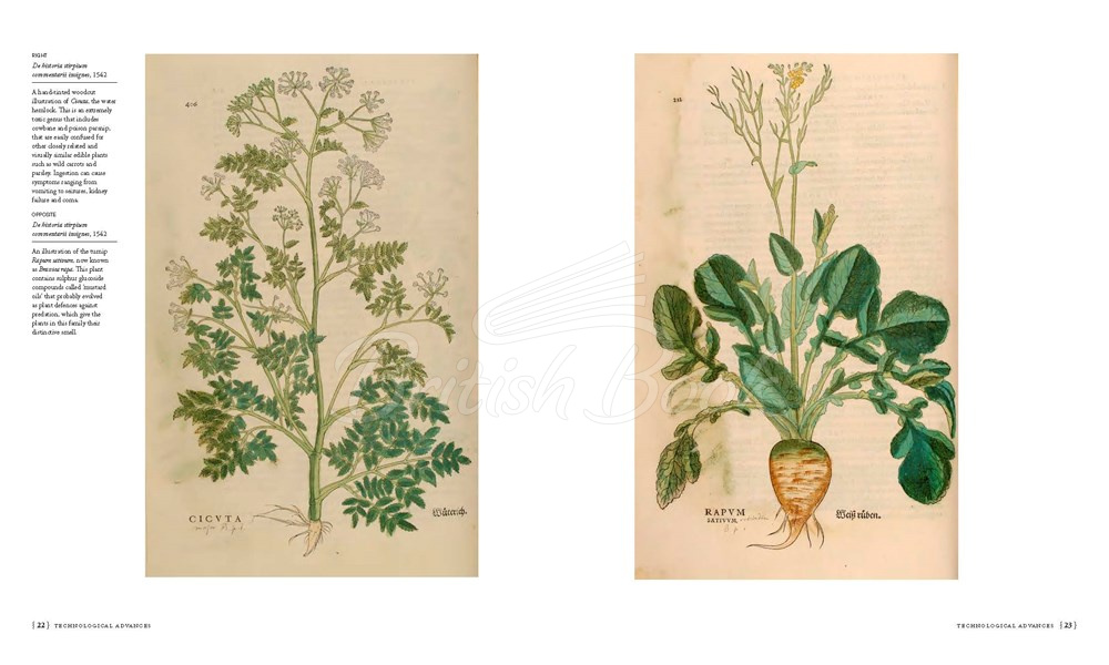 Книга The Botanists' Library зображення 3