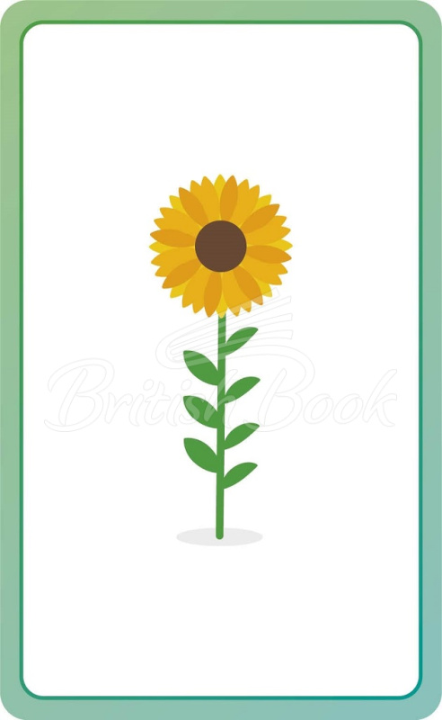 Карточки Spanish for Everyone Junior: First Words Flash Cards изображение 6