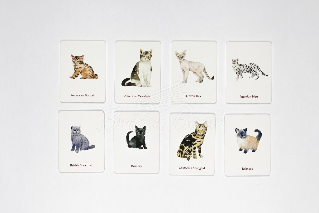 Карткова гра Cats and Kittens: A Memory Game зображення 22
