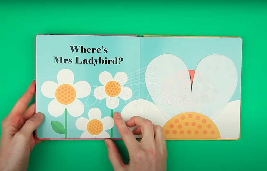 Книга Where's Mrs Ladybird? зображення 9