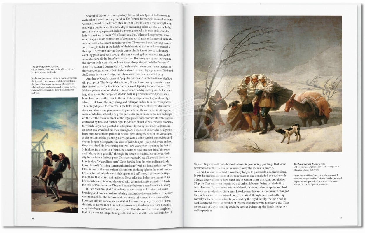 Книга Goya зображення 1