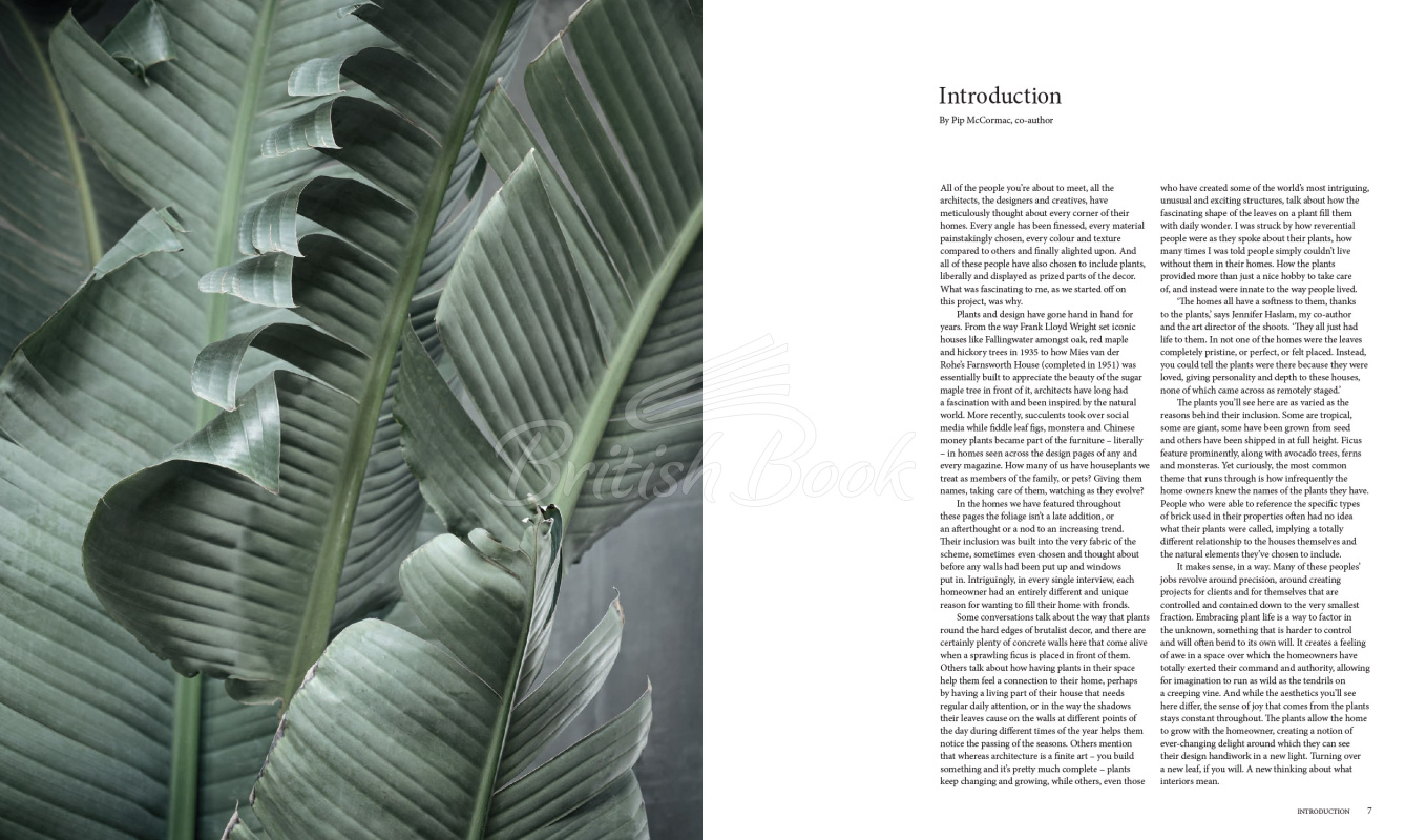 Книга A New Leaf: Curated Houses Where Plants Meet Design зображення 2