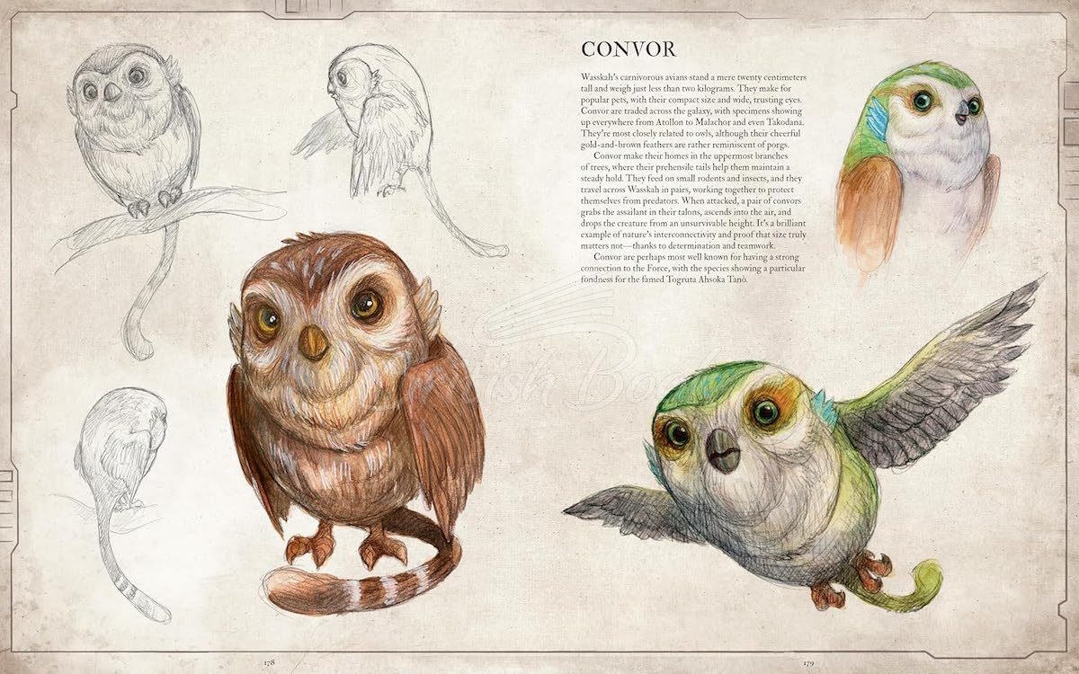 Книга Star Wars Bestiary Vol. 1 зображення 8