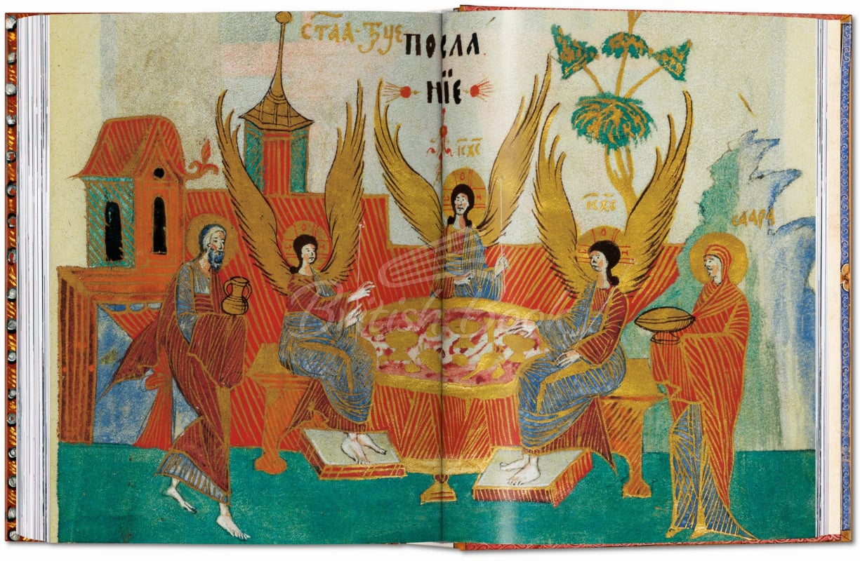 Книга The Book of Bibles изображение 8