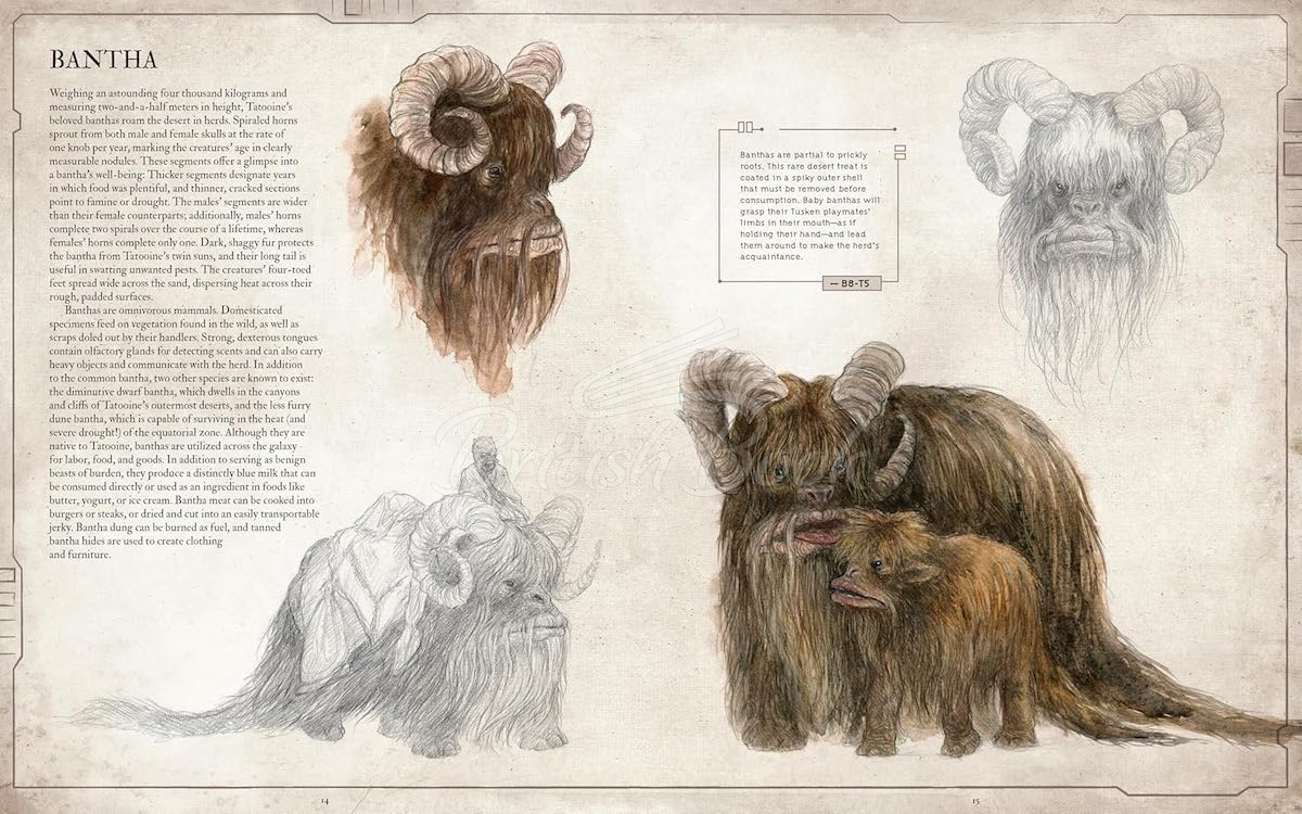 Книга Star Wars Bestiary Vol. 1 зображення 2