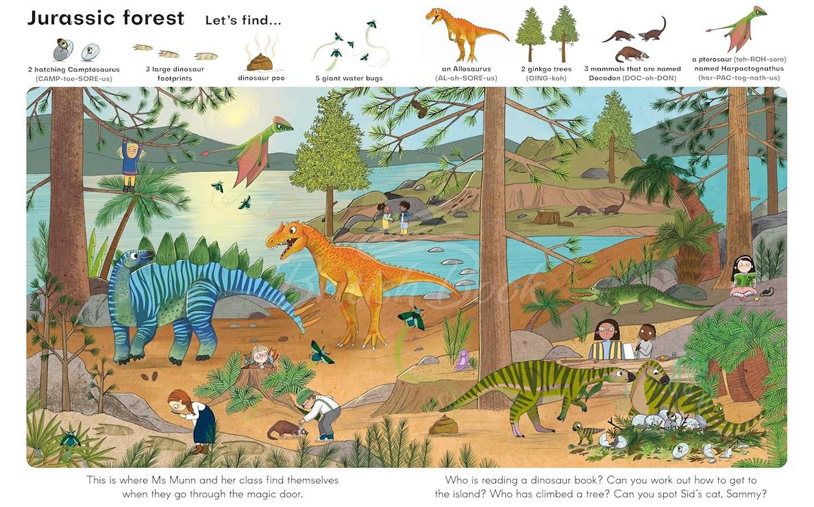 Книга Find My Favourite Things: Dinosaurs изображение 2
