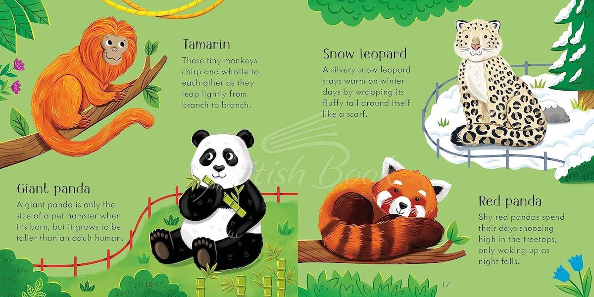 Настольная игра Zoo Matching Games and Book изображение 6
