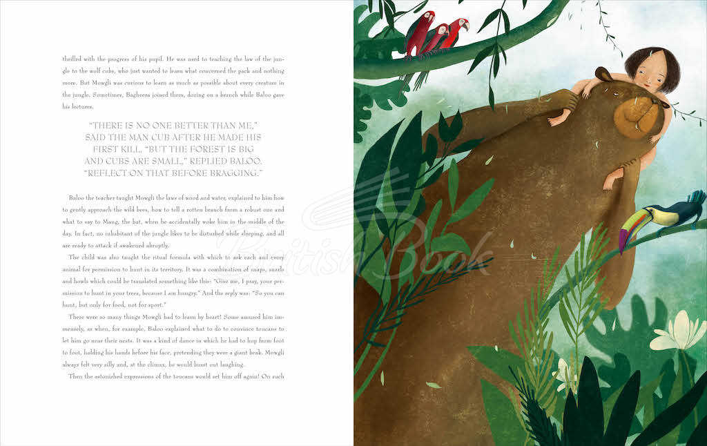 Книга The Jungle Book изображение 2