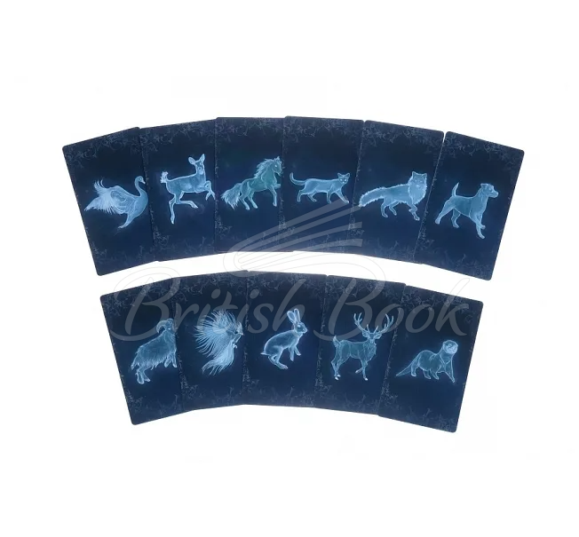 Подарунковий набір Harry Potter: Patronus Guided Journal and Inspiration Card Set зображення 2