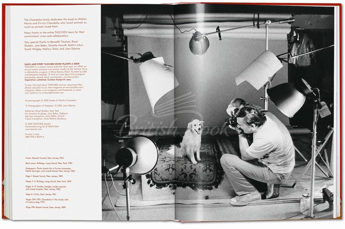 Книга Walter Chandoha. Dogs. Photographs 1941–1991 изображение 12