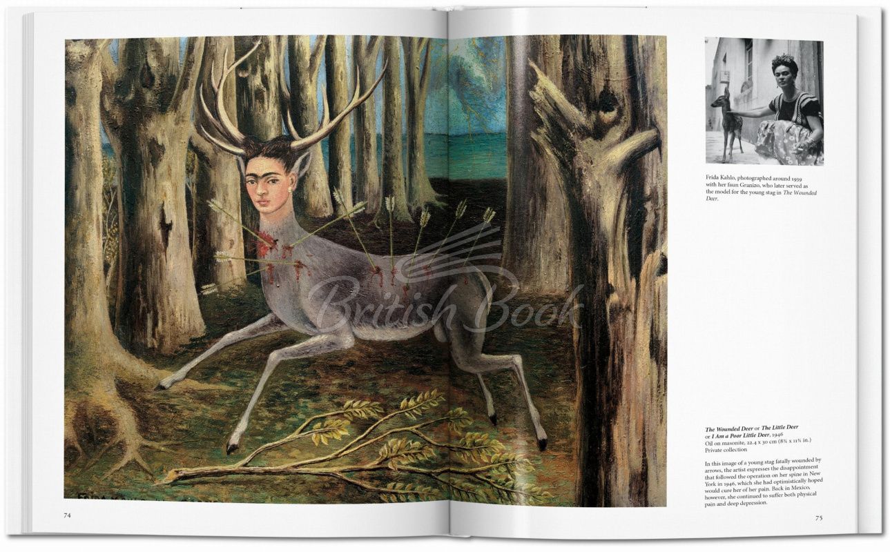 Книга Kahlo изображение 7