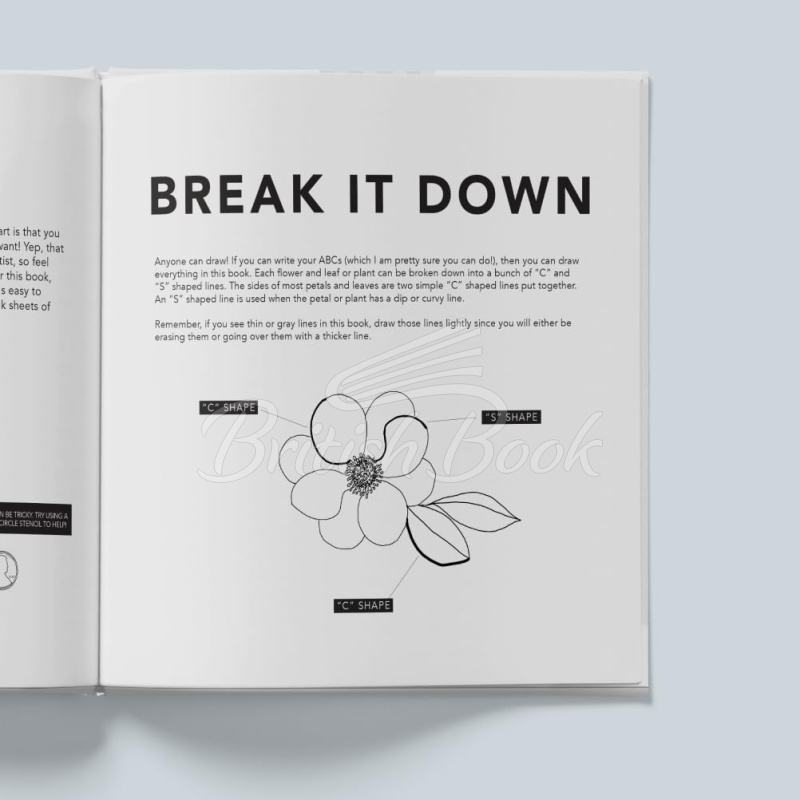Книга How to Draw Modern Flowers for Kids with Flowers, Plants, and Botanicals зображення 2
