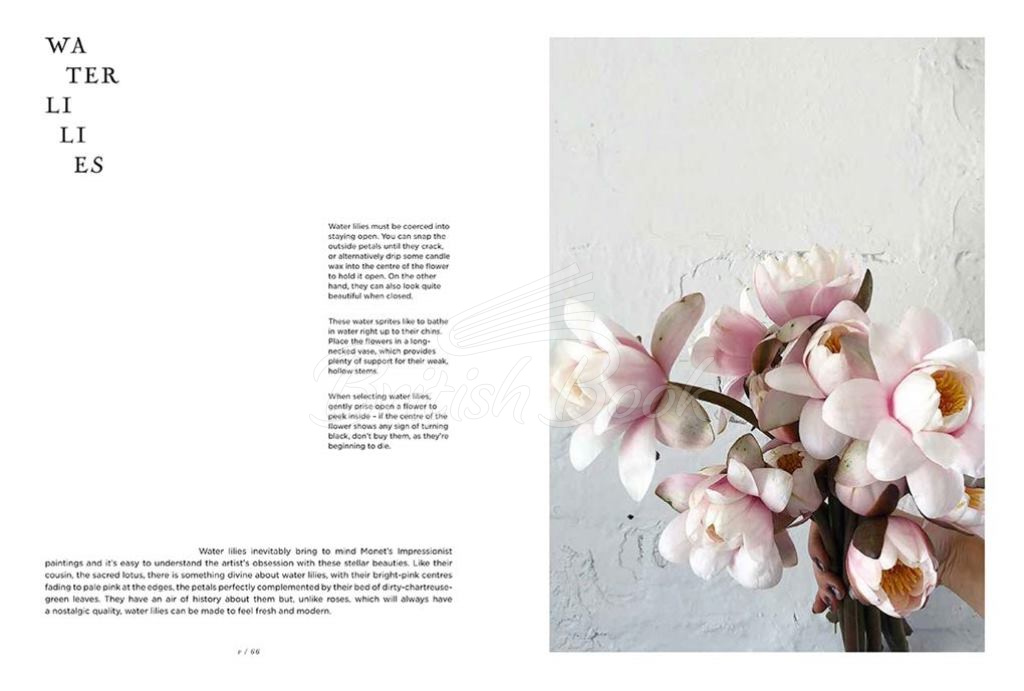 Книга The Flower Expert изображение 4
