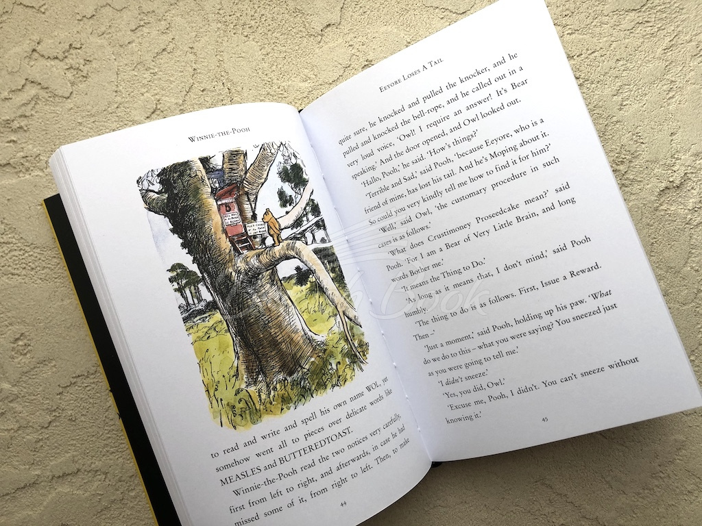 Книга Winnie-the-Pooh изображение 3