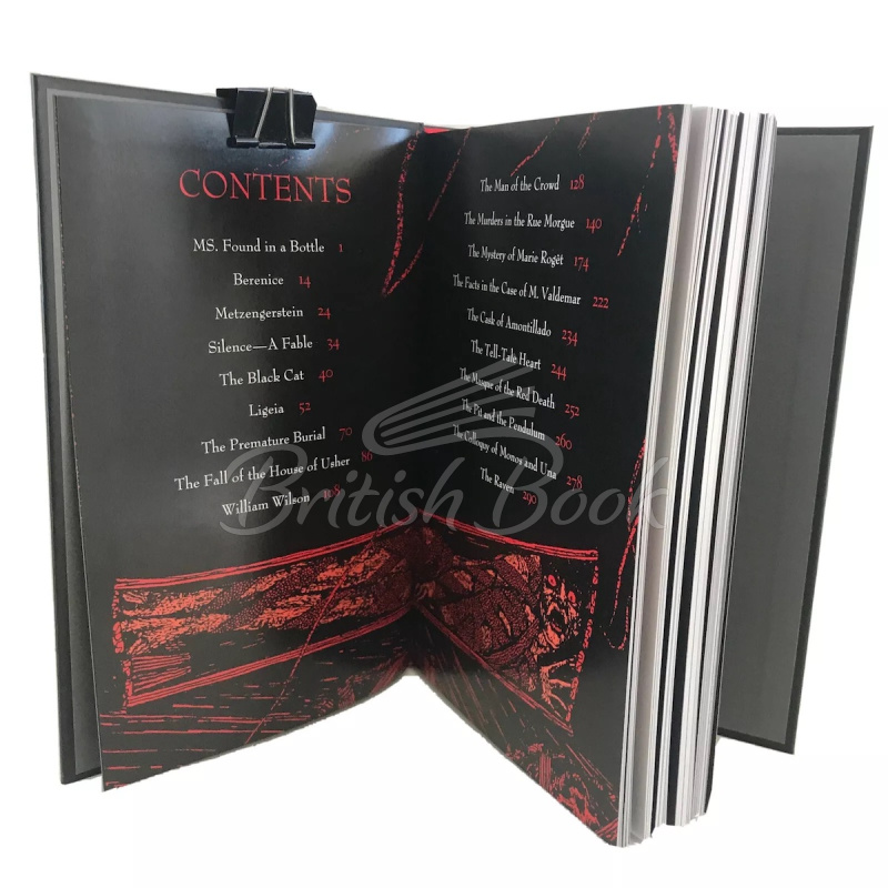 Книга Edgar Allan Poe: Illustrated Tales изображение 2