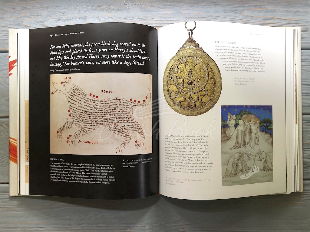Книга Harry Potter: A History of Magic – The Book of the Exhibition изображение 7