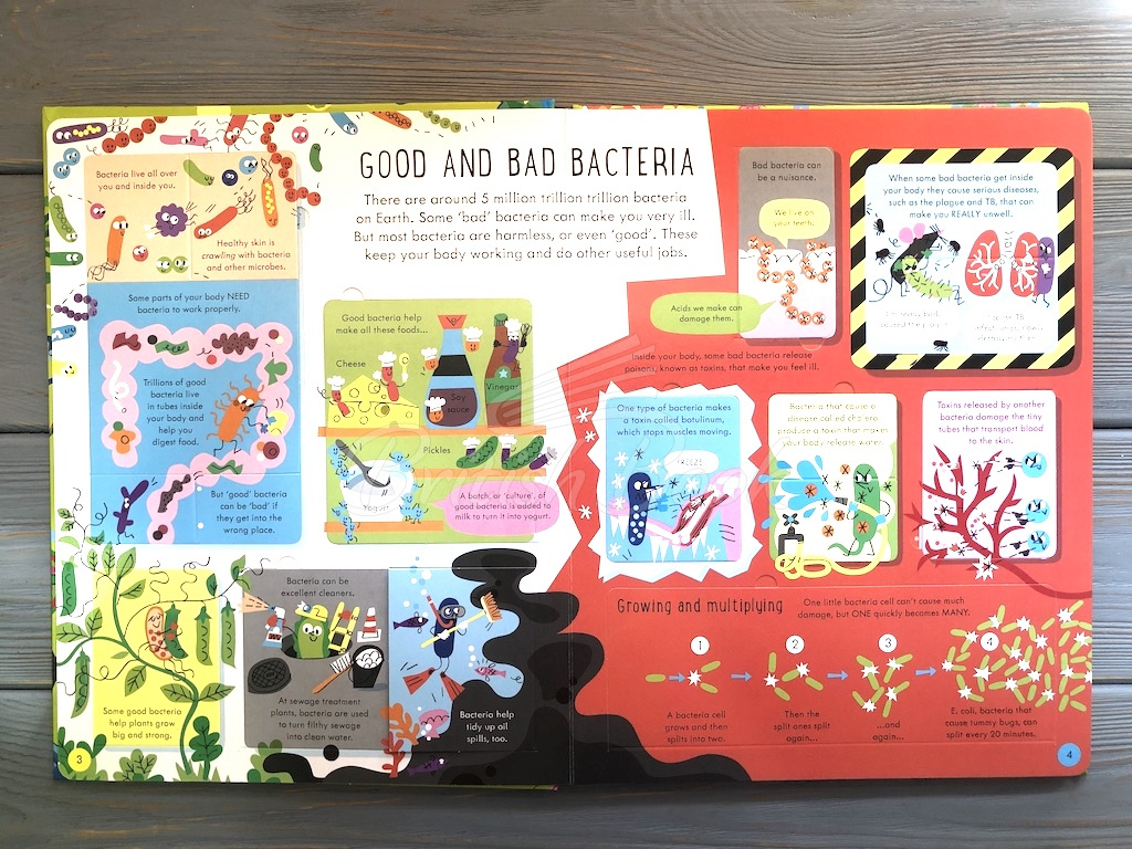 Книга See inside Germs изображение 3