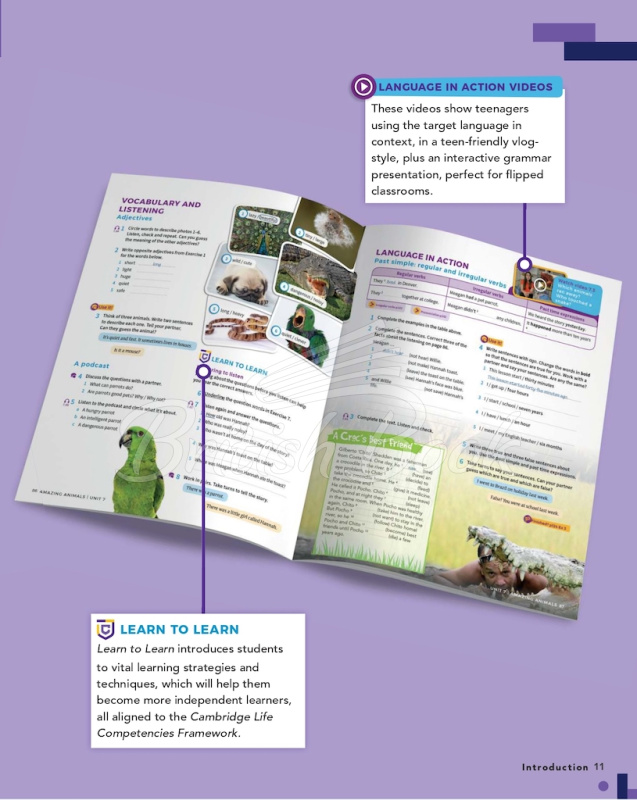 Книга для учителя Own It! 1 Teacher's Book with Digital Pack изображение 9