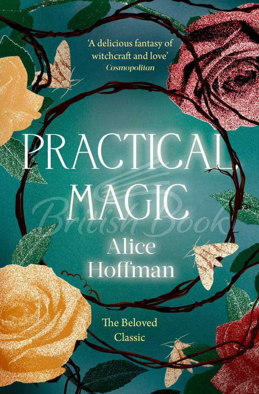 Книга Practical Magic изображение