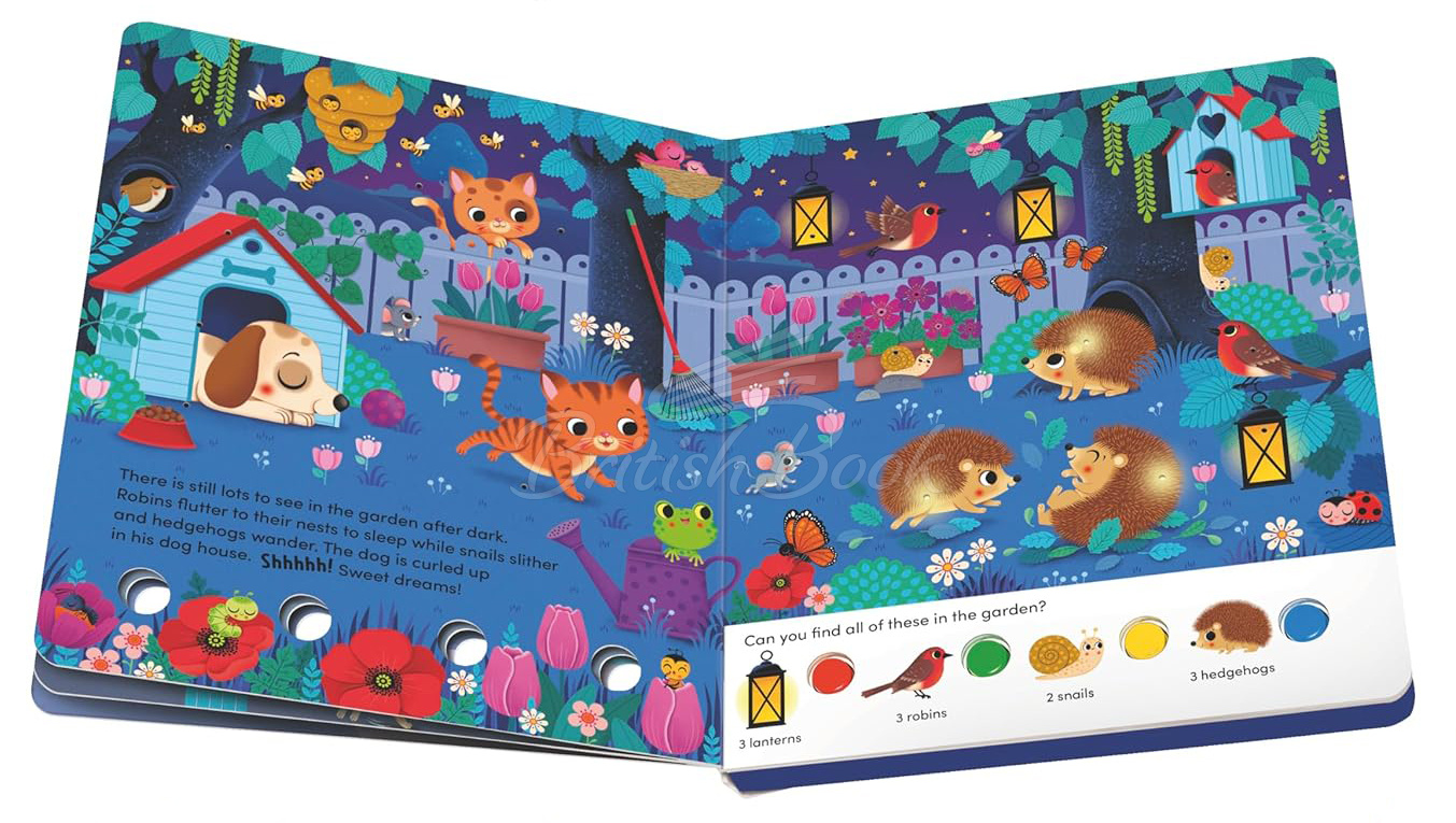 Книга Search and Shine: In The Night изображение 2