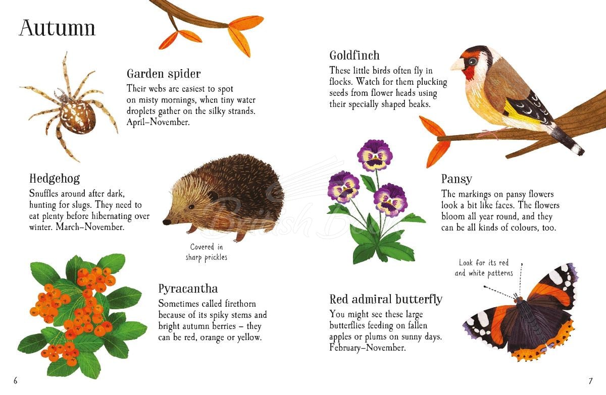 Книга Garden Life to Spot изображение 2