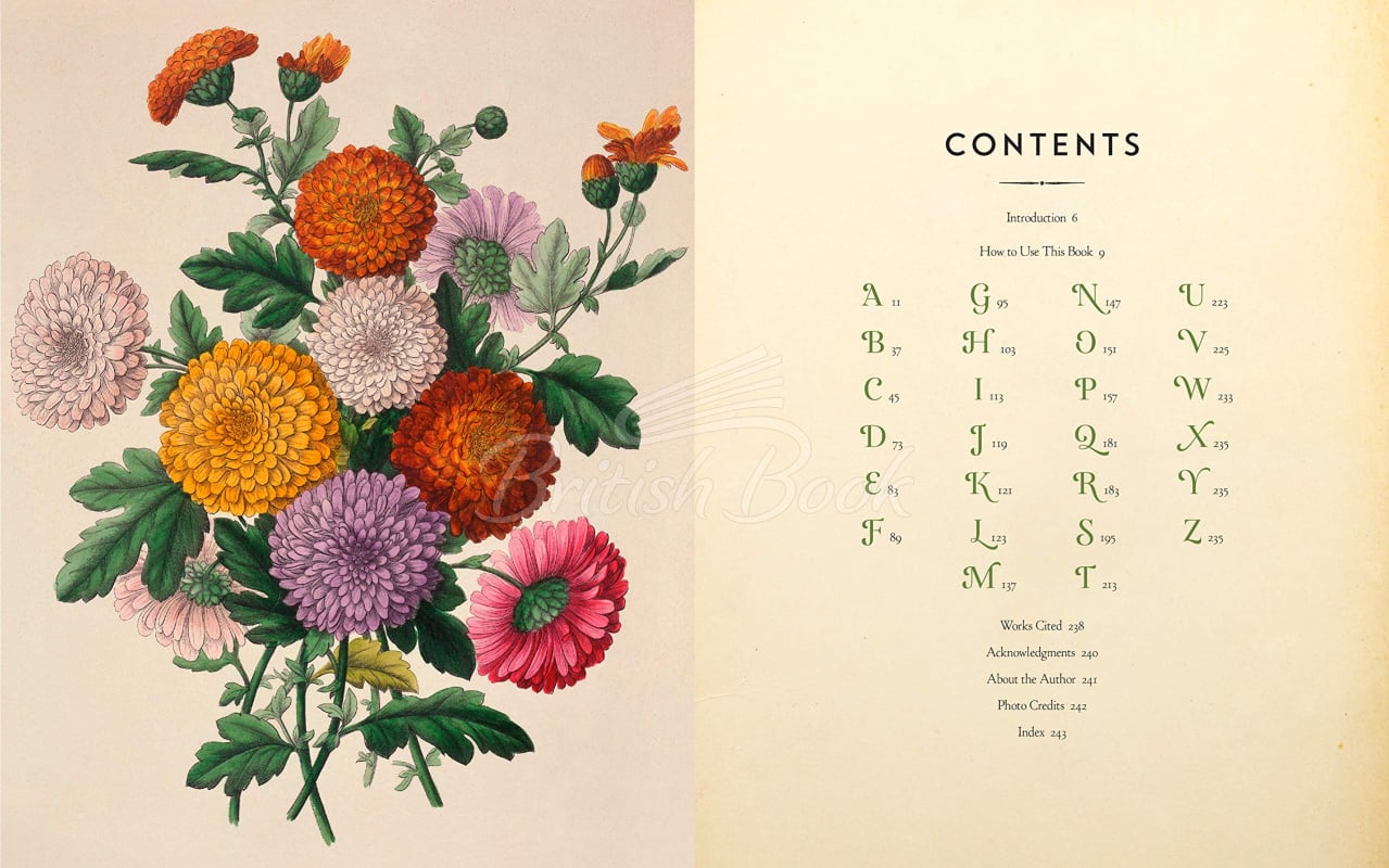Книга The Complete Language of Flowers зображення 3