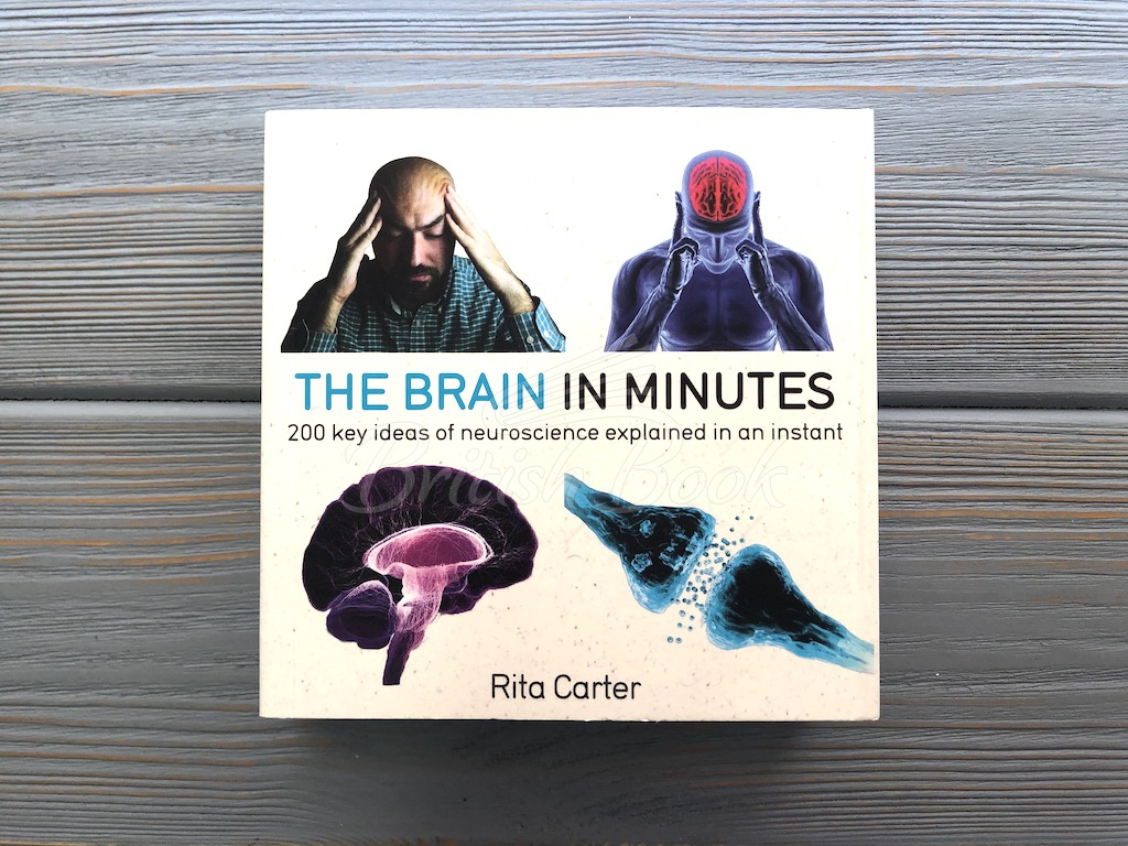 Книга The Brain in Minutes изображение 1