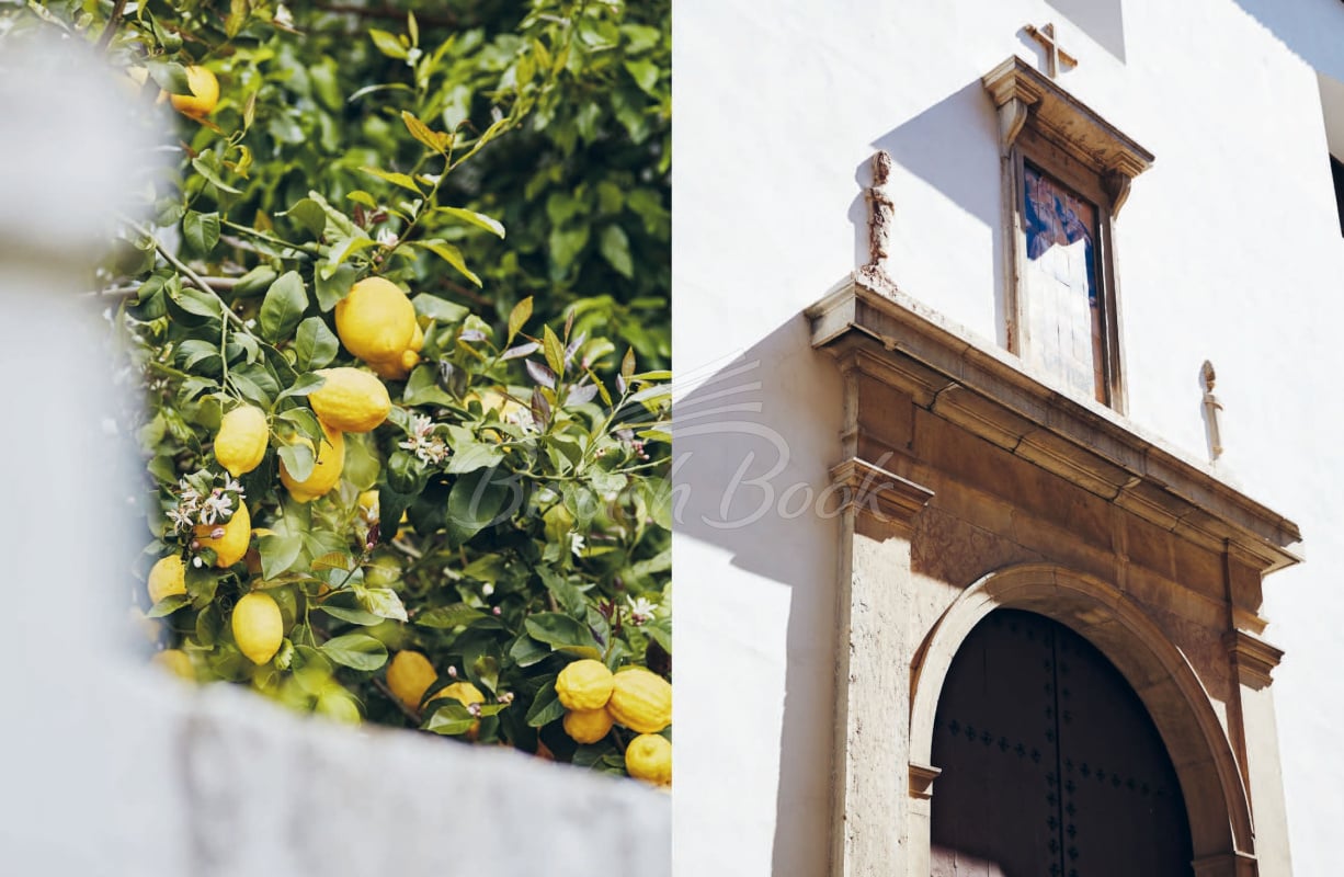 Книга Recipes from Andalusia изображение 11